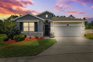 15793 MIDNIGHT DOVE COURT, ODESSA, FL 33556 Sold 07/09/25
