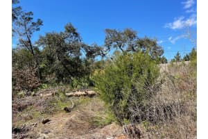 16883 DRY TORTUGAS RUN, HUDSON, FL 34667 - MLS#MFRW7873795