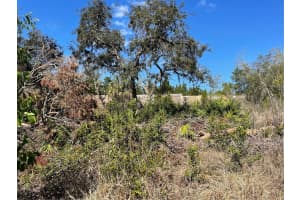 16883 DRY TORTUGAS RUN, HUDSON, FL 34667 - MLS#MFRW7873795