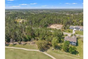 20044 ENGLISH WALNUT PLACE, BROOKSVILLE, FL 34601 - MLS#MFRW7873875
