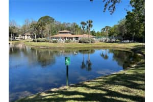 6533 SPRING FLOWER DRIVE, NEW PORT RICHEY, FL 34653 Sold 04/30/25