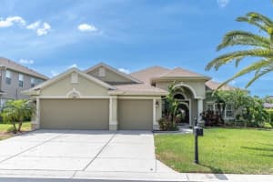 1709 Nodding Thistle Dr, TRINITY