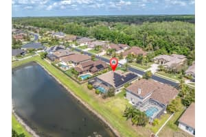 1709 NODDING THISTLE DRIVE, TRINITY, FL 34655 - MLS#MFRW7873926