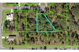 11334 TELEPHONE ROAD, WEEKI WACHEE, FL 34614 Sold 09/16/25