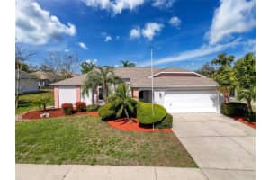 8317 GOLDEN BEAR LOOP, PORT RICHEY, FL 34668 Sold 06/03/25