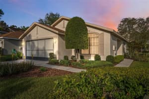 1005 Indigo Run Ct, SPRING HILL