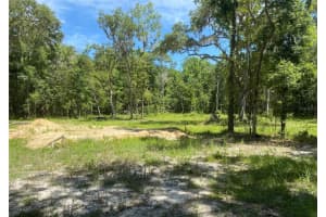 SNOW MEMORIAL HWY, BROOKSVILLE, FL 34601 - MLS#MFRW7874138