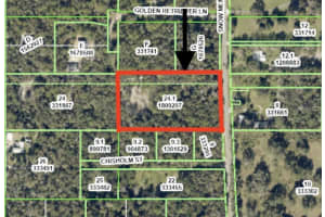SNOW MEMORIAL HWY, BROOKSVILLE, FL 34601 - MLS#MFRW7874138