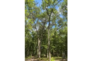 SNOW MEMORIAL HWY, BROOKSVILLE, FL 34601 - MLS#MFRW7874138