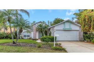 1517 MORNING ROSE PLACE, TRINITY, FL 34655 Sold 06/13/25