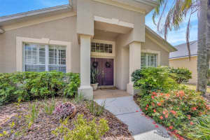 1905 FIREFERN COURT, TRINITY, FL 34655 Sold 06/13/25