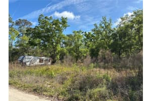 11042 BOUNTY STREET, NEW PORT RICHEY, FL 34654 - MLS#MFRW7874229