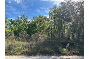 11042 BOUNTY STREET, NEW PORT RICHEY, FL 34654 - MLS#MFRW7874229