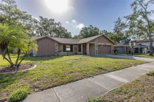 512 Winding Willow Dr, PALM HARBOR
