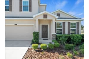 13366 BARKINGSIDE PLACE, SPRING HILL, FL 34609 - MLS#MFRW7874286
