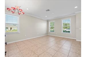 13366 BARKINGSIDE PLACE, SPRING HILL, FL 34609 - MLS#MFRW7874286