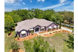 11053 FRIGATE BIRD AVENUE, WEEKI WACHEE, FL 34613 Sold 06/06/25