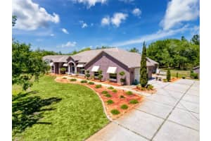 11053 FRIGATE BIRD AVENUE, WEEKI WACHEE, FL 34613 Sold 06/06/25