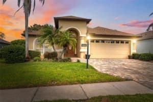 11631 Wayside Willow Ct, HUDSON
