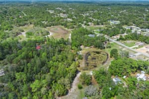 7339 NIGHTWALKER ROAD, WEEKI WACHEE, FL 34613 - MLS#MFRW7874420