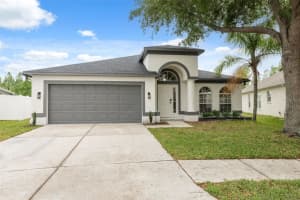 18456 MERSEYSIDE LOOP, LAND O LAKES, FL 34638 Sold 06/26/25