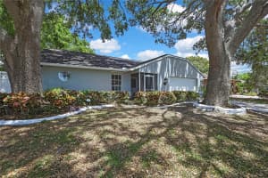 279 MAPLE AVENUE, PALM HARBOR, FL 34684 - MLS#MFRW7874460