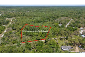 12981 OCASTA AVENUE, NEW PORT RICHEY, FL 34654 - MLS#MFRW7874568