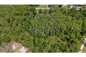 12981 OCASTA AVENUE, NEW PORT RICHEY, FL 34654 - MLS#MFRW7874568