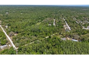 12981 OCASTA AVENUE, NEW PORT RICHEY, FL 34654 - MLS#MFRW7874568