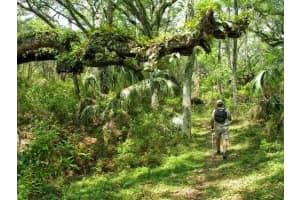 54 DAISY STREET, HOMOSASSA, FL 34446 Sold 11/14/25