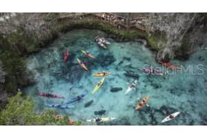 54 DAISY STREET, HOMOSASSA, FL 34446 Sold 11/14/25