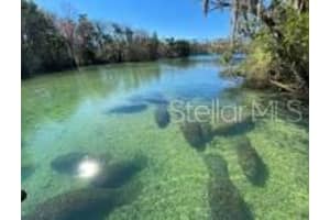 54 DAISY STREET, HOMOSASSA, FL 34446 Sold 11/14/25