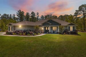 11730 Hawks Nest Trl, BROOKSVILLE