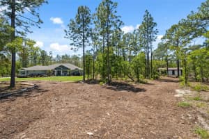11730 HAWKS NEST TRAIL, BROOKSVILLE, FL 34614 - MLS#MFRW7874606