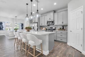2431 MURRAY PASS, ODESSA, FL 33556 Sold 07/07/25