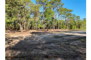 00 CORMORANT RD, WEEKI WACHEE, FL 34614 - MLS#MFRW7874625