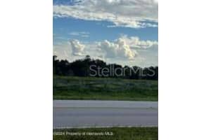 22380 Powell Rd, BROOKSVILLE