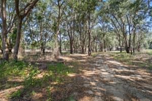 25399 MONDON HILL ROAD, BROOKSVILLE, FL 34601 - MLS#MFRW7874698