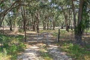 25399 MONDON HILL ROAD, BROOKSVILLE, FL 34601 - MLS#MFRW7874698