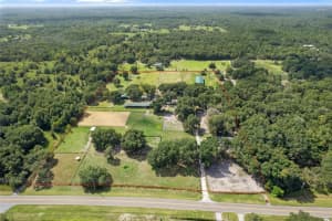 11046 KITTEN TRAIL, HUDSON, FL 34669 - MLS#MFRW7874713