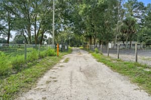 11046 KITTEN TRAIL, HUDSON, FL 34669 - MLS#MFRW7874713