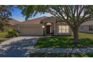 1082 NODDING SHADE DRIVE, BROOKSVILLE, FL 34604 - MLS#MFRW7874772
