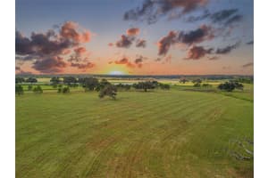 MONDON HILL RD, BROOKSVILLE, FL 34601 - MLS#MFRW7874804