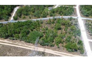 00 DUSKY WARBLER ROAD, BROOKSVILLE, FL 34614 - MLS#MFRW7874855