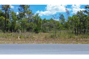 00 DUSKY WARBLER ROAD, BROOKSVILLE, FL 34614 - MLS#MFRW7874855