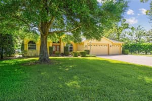 18502 WINDING OAKS BOULEVARD, HUDSON, FL 34667 - MLS#MFRW7874932