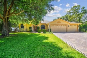 18502 WINDING OAKS BOULEVARD, HUDSON, FL 34667 - MLS#MFRW7874932