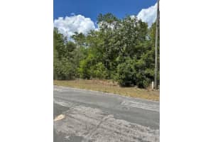 2235 SUMMER PLACE, CITRUS SPRINGS, FL 34434 - MLS#MFRW7875014