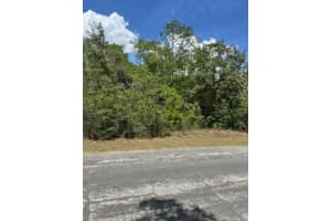 2235 SUMMER PLACE, CITRUS SPRINGS, FL 34434 - MLS#MFRW7875014