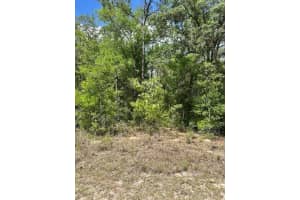 2235 SUMMER PLACE, CITRUS SPRINGS, FL 34434 - MLS#MFRW7875014